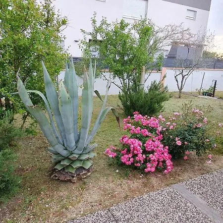Mediterranean House 50m From The Sea