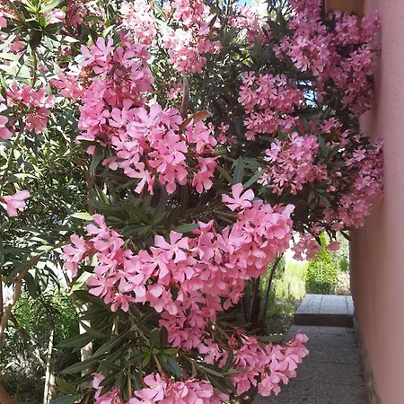 Mediterranean House 50m From The Sea بيت للعطل