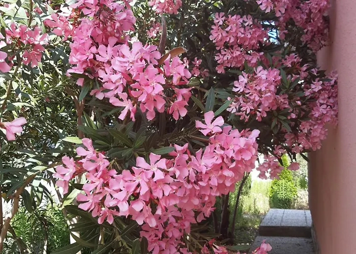 Mediterranean House Feriehus